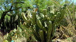 photo thumbnail #8
