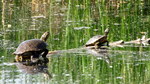 photo thumbnail #15
