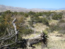 photo thumbnail #4