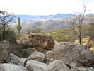 photo thumbnail #8