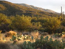 photo thumbnail #9
