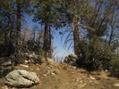 recent photo