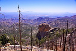 photo thumbnail #7