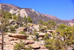 photo thumbnail #11