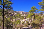 photo thumbnail #14