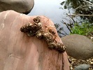 photo thumbnail #8