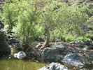 photo thumbnail #3