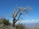 photo thumbnail #7
