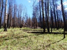 photo thumbnail #6