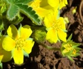 photo thumbnail #15