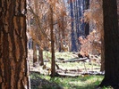 photo thumbnail #10