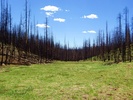 photo thumbnail #12
