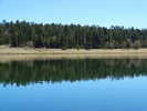 photo thumbnail #10