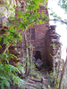 photo thumbnail #15
