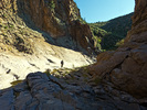 photo thumbnail #12
