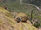photo thumbnail #13
