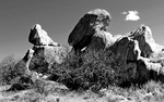 photo thumbnail #8