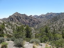 photo thumbnail #4