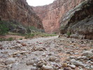 photo thumbnail #14
