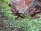 photo thumbnail #15