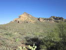 photo thumbnail #5