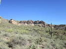 photo thumbnail #10