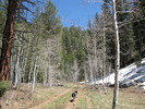 photo thumbnail #1