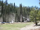 recent photo