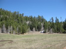 photo thumbnail #8