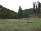 photo thumbnail #9
