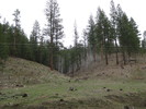 photo thumbnail #10