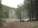 photo thumbnail #11