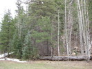 photo thumbnail #12