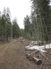 photo thumbnail #13