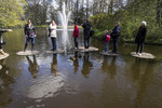 photo thumbnail #15
