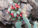 photo thumbnail #6