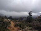 photo thumbnail #9