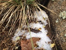 photo thumbnail #14