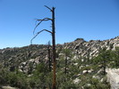photo thumbnail #3