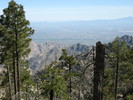 photo thumbnail #7