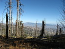 photo thumbnail #8