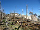 photo thumbnail #9