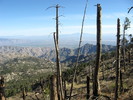photo thumbnail #10