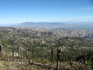 photo thumbnail #11