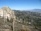 photo thumbnail #12