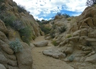 photo thumbnail #7