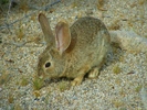 photo thumbnail #11