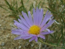 photo thumbnail #2