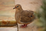 photo thumbnail #13