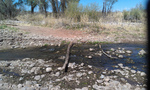 photo thumbnail #6